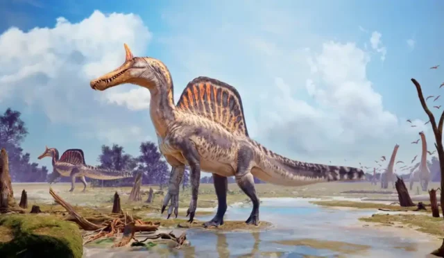 Spinosaurus Mirabilis En Büyük Etçil Dinozorlar Arasına Katıldı