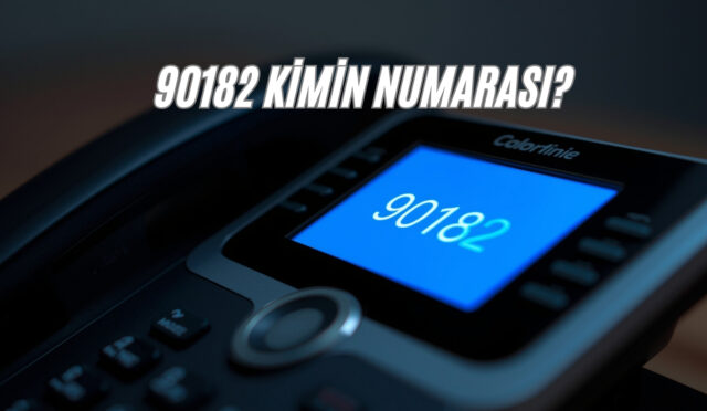 90182 Kimin Numarası?