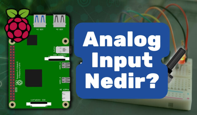Analog Input Nedir 2026