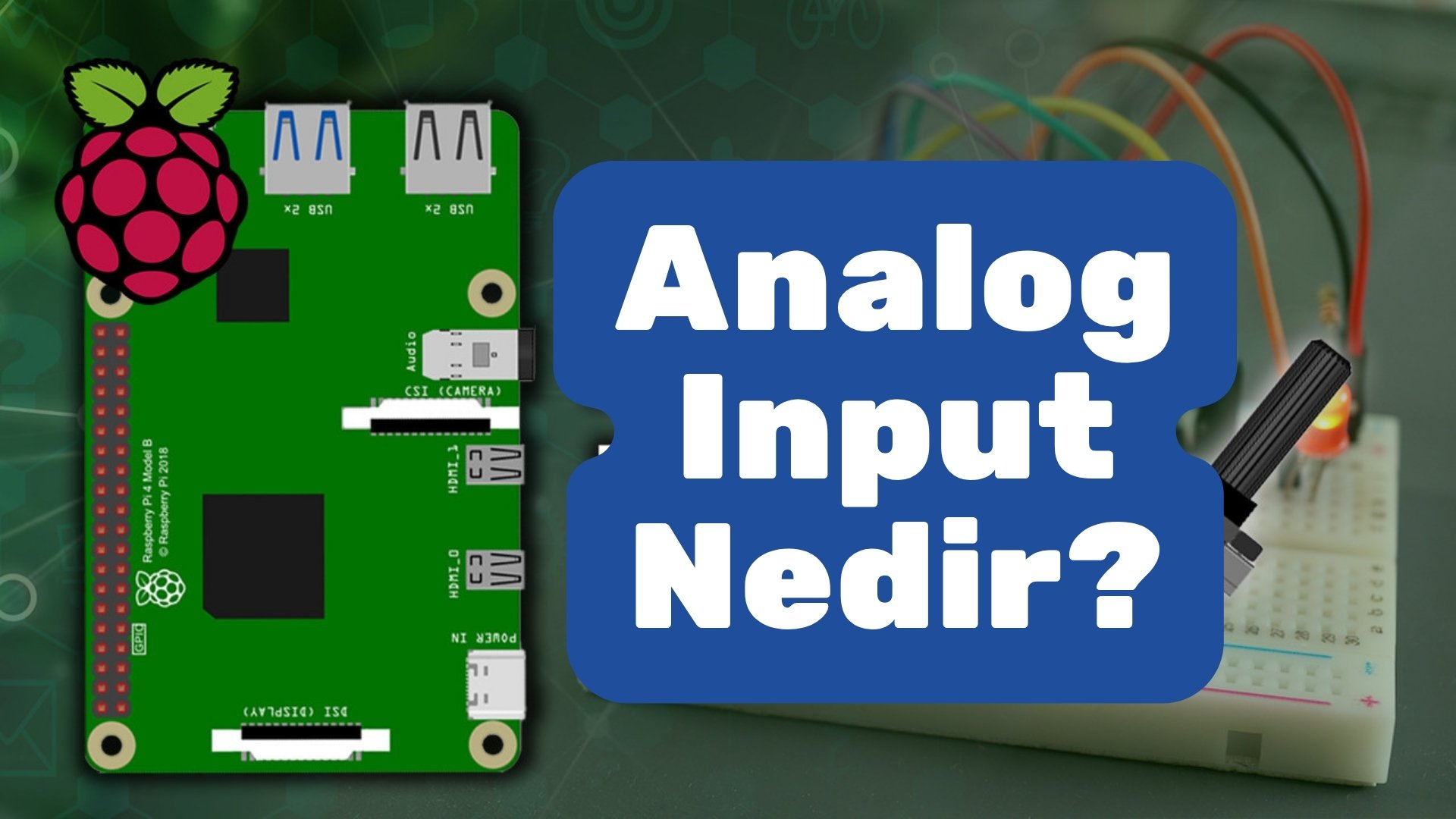 Analog Input Nedir 2026 analog input nedir