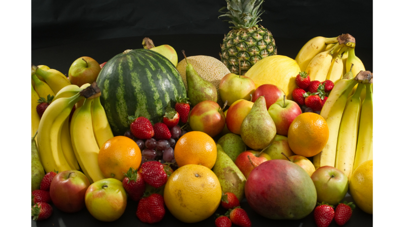 Muhabbet Kuşu Neler Yiyebilir 2026 – Tam ve Güvenli Beslenme Rehberi muhabbet kuşu neler yiyebilir 3