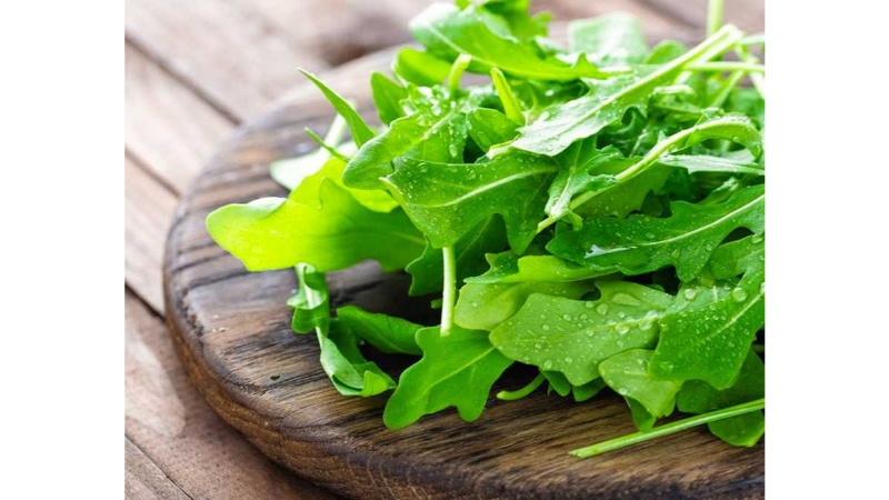 Muhabbet Kuşu Neler Yiyebilir 2026 – Tam ve Güvenli Beslenme Rehberi muhabbet kuşu neler yiyebilir 4